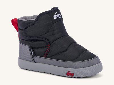 Teddy Raven Black