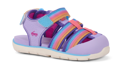 Wilder Lavender Rainbow