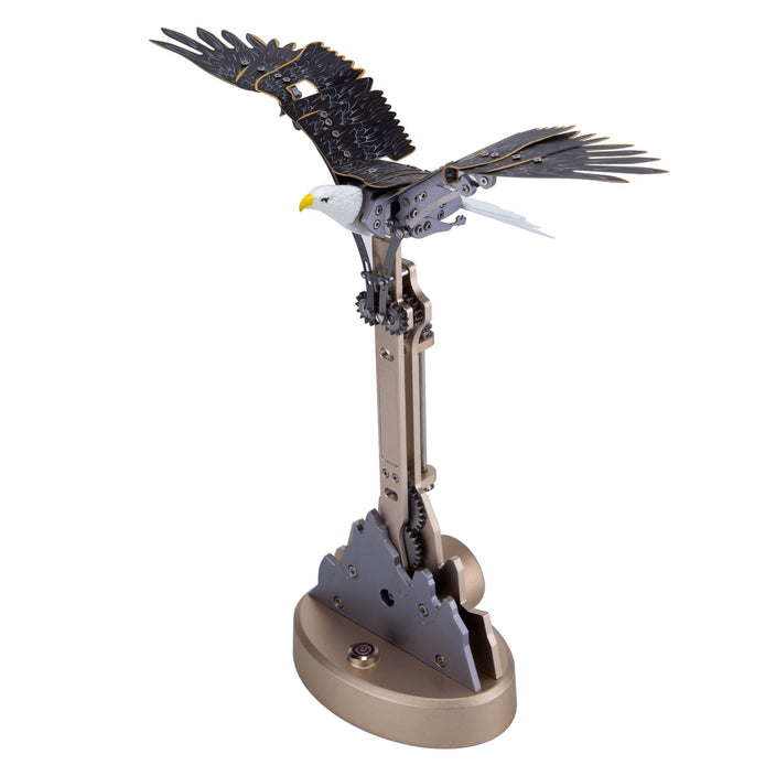 Teching eagle model