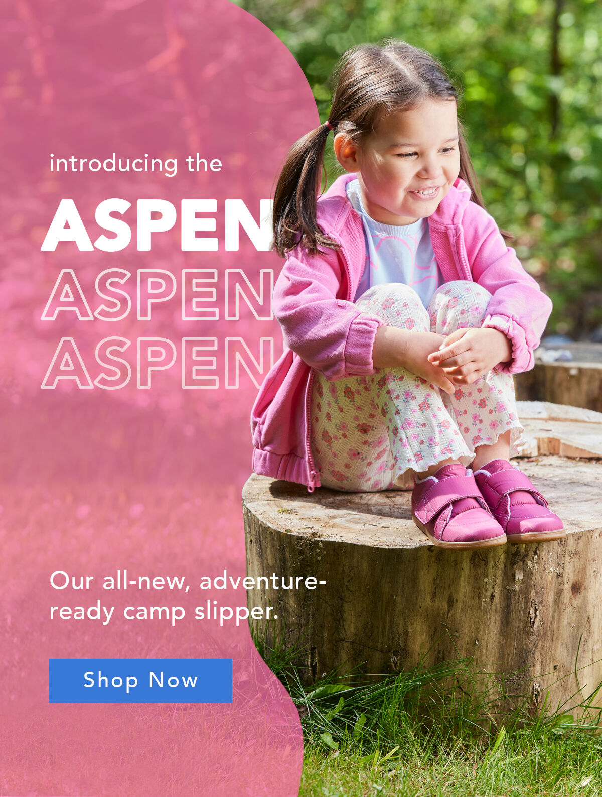 Introducing the Aspen