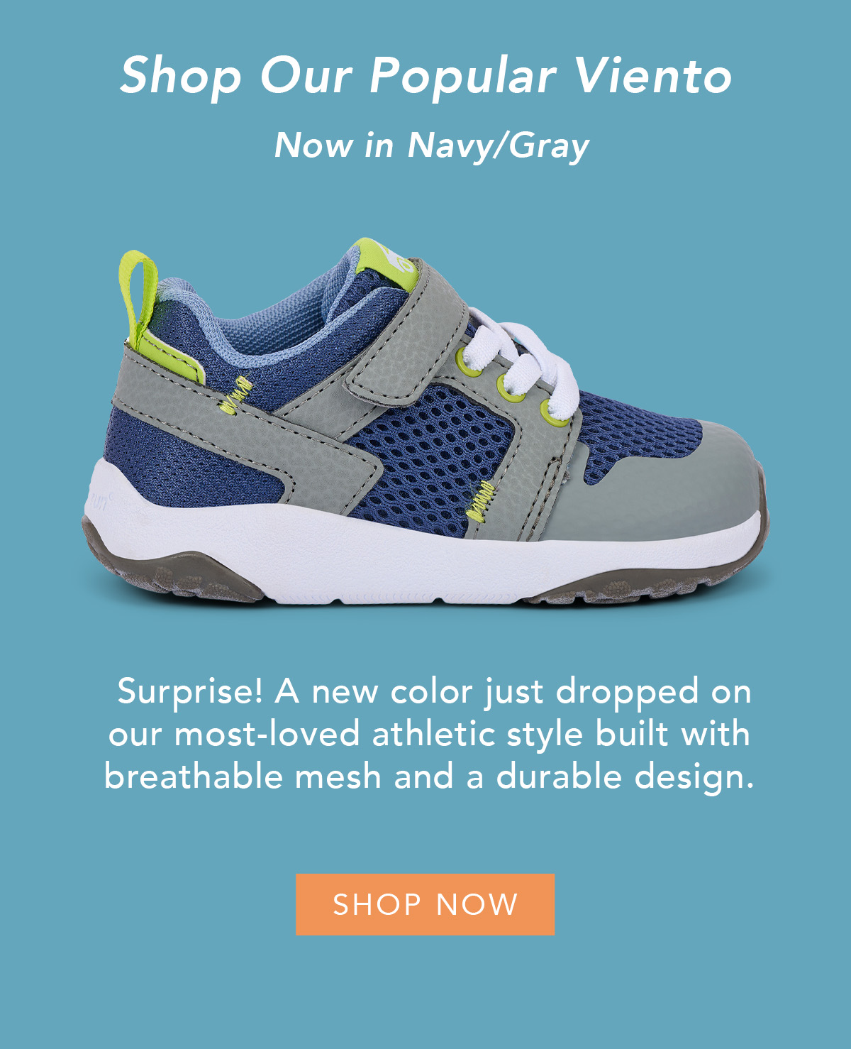 Shop Our Popular Viento in Navy/Gray