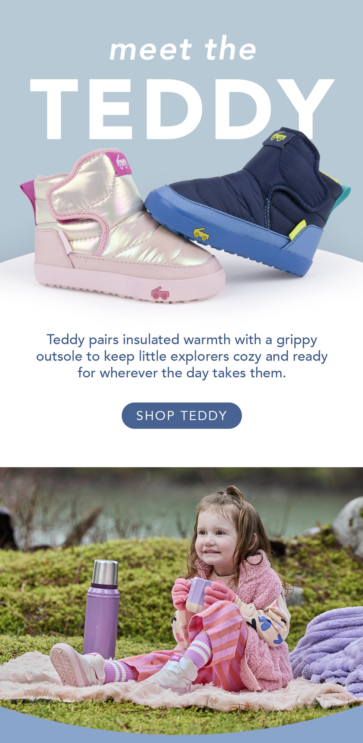 Meet the Teddy